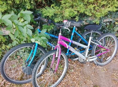 teenager girls bike