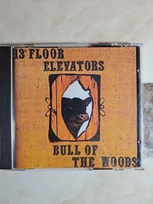 13th Floor Elevators CD - Bull Of The Woods