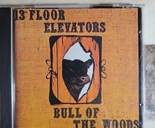 13th Floor Elevators CD - Bull Of The Woods