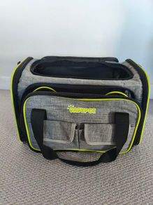 pet travel