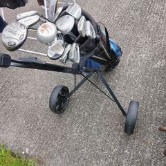 Golf set bag and buggy/carrier