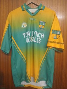 Stabannon Parnells jersey