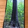 Xiaomi 14 512GB Image 5