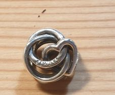 Pandora " Always Together " Charm