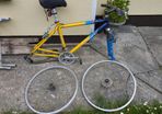 Newport Bike Frame & Parts