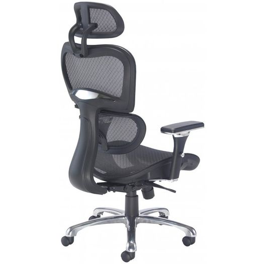 Chiachi Ergonomic High Back Managers Mesh Chair and Mesh Seat With Head Rest