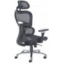 Chiachi Ergonomic High Back Managers Mesh Chair and Mesh Seat With Head Rest Image 4