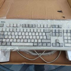 Dell Sk1000rew