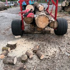 Log arch trailer