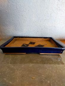 Large Rectangular Bonsai Pot #1