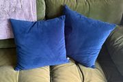 2 x Paul Costelloe Dunnes Stores Royal Blue Cushions
