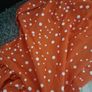dress Image 3