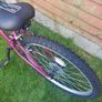Apollo Twilight Mountain Bike - 14" S Frame Image 5