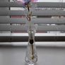 Cavan little crystal vase Image 2