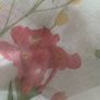 Wildflower watercolour voil curtains Image 5