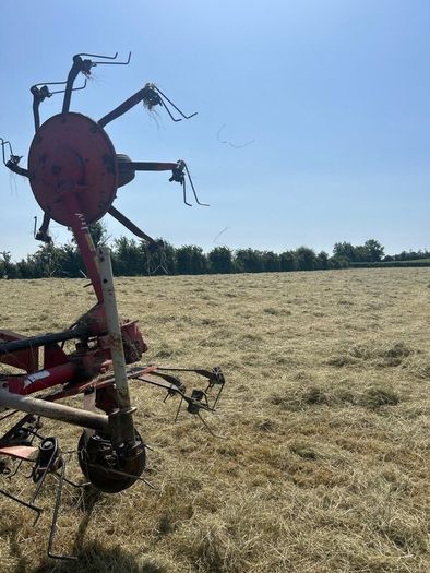 Round Baled Hay