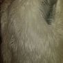 BNWT white Miss Unique London long line faux fur gilet /sleveless jacket size UK16 EU44 Image 3