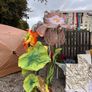 Oversized flowers Image 2