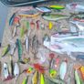 fishing lures Image 4