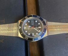 timex automatic watch