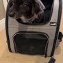 Pecute cat/dog pet backpack Image 2