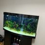 Fish tank Image 2