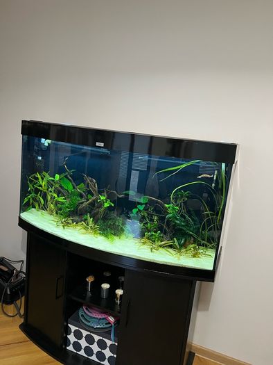 Fish tank