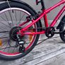 Trek Wahoo 20 red Childrens Bike Image 3