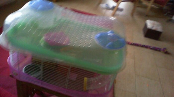 Hamster Cage