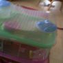 Hamster Cage Image 4
