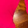 Helly Hansen Ladies Ski Pants Image 7