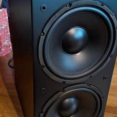 BK Electronics Double Gem Subwoofer