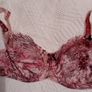 Fantasie Natalie - Underwired Side Support Bra 30F - Samba - BNWT RRP 42 Image 8