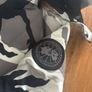 canada goose Image 3