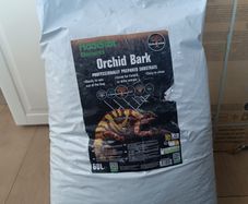 orchid bark reptile