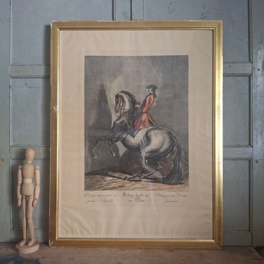Johann E Ridinger Copperplate Engraving