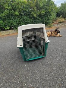 Dog Carrier
