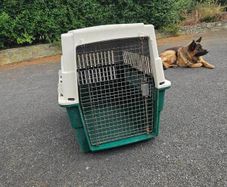 Dog Carrier