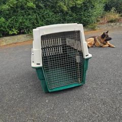 Dog Carrier