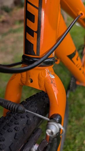 Giant Arx 24 kids bike
