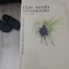 the Irish struggle first edition  1916-1926