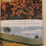 Colour Hedges. By J.l. Beddal.n.d.h. Published By The Gardening  Book Club London. First Editions  1953. Hardback In Good Condition. 36. Image 2