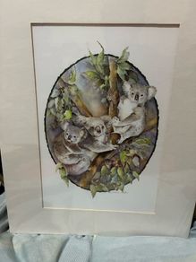 Koala print by Valerie Sefer.