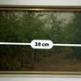 Original Oil Painting Woodland Lane Gate, Charles Webb Print Shop Dublin Label Image 4