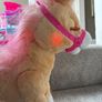 Fur Real Walking Horse Image 5
