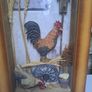 Vintage farm scene Clock chickens Image 7