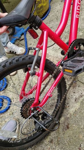 Girls 20 inch Ridgeback bike