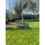 Tree Bench Grey D5672 Image 3
