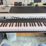 Alesis VI61 Image 2