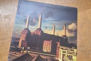 Pink Floyd "Animals" vinyl record